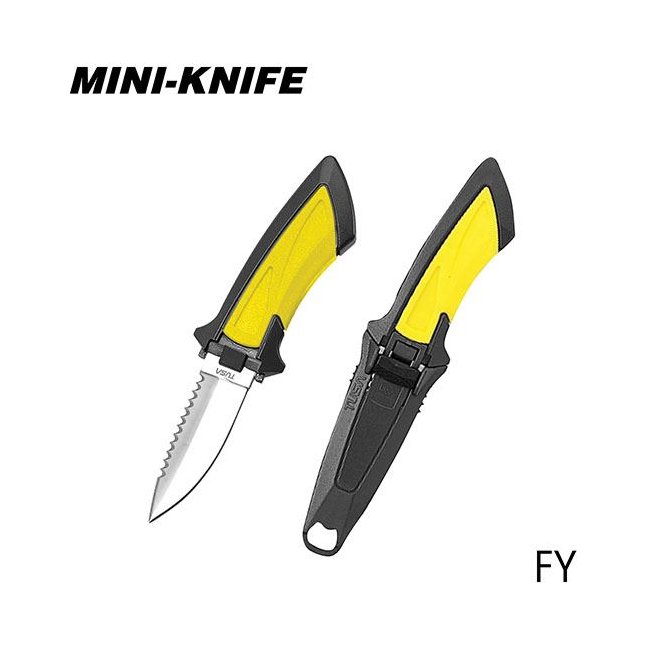 FY