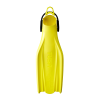FY
