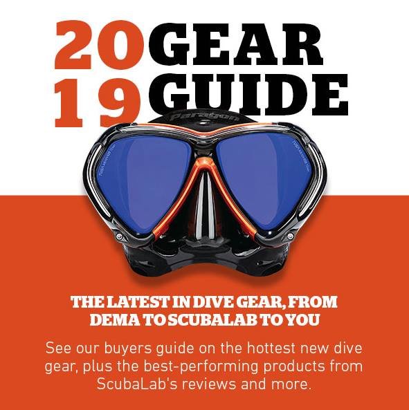 Maska PARAGON na głównej stronie Gear Guide 2019